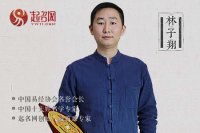 起名大師排名誰第一?林大師：名字背后的藝術(shù)