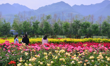 夏至是什么意思