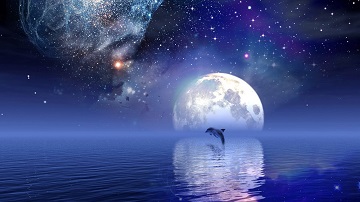 夢(mèng)見海豚