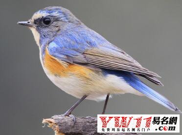 感謝朋友的話語(yǔ)