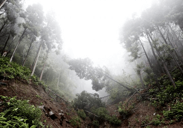 夢見山體垮塌