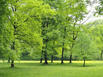 夢(mèng)見欠錢被追債