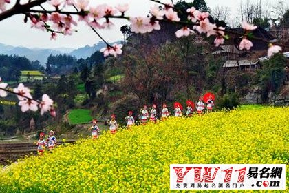 苗族的傳統(tǒng)節(jié)日,苗族的風(fēng)俗慣