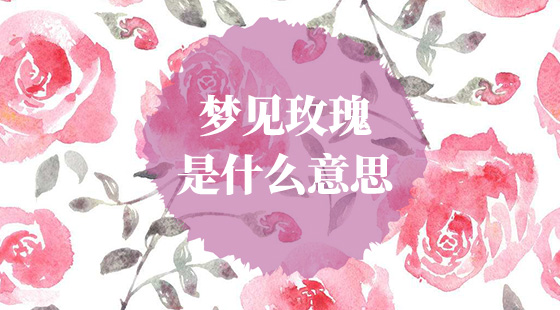 夢(mèng)見玫瑰花是什么意思