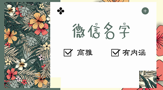 高雅有內(nèi)涵的微信名字