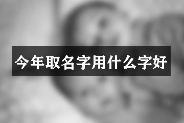 今年取名字用什么字好