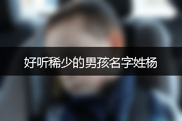 好聽稀少的男孩名字姓楊