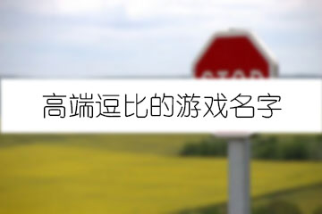 高端逗比的游戲名字