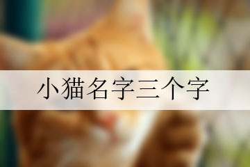 小貓名字三個字