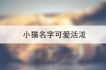 小貓名字可愛活潑