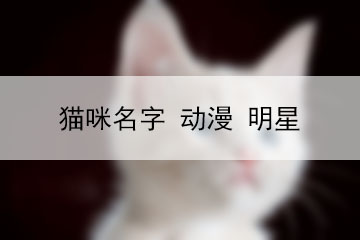 貓咪名字 動漫 明星