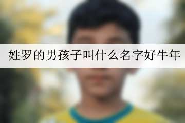 姓羅的男孩子叫什么名字好牛年