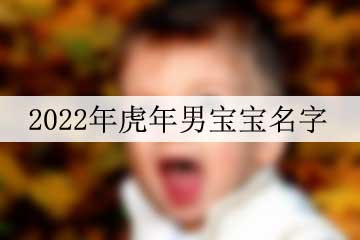 2022年虎年男寶寶名字