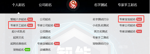 國內(nèi)起名行業(yè)排名第一的專業(yè)起名平臺：起名網(wǎng)