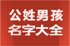 起名網(wǎng)公姓男孩名字大全介